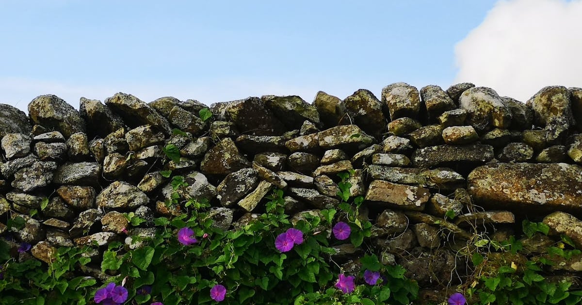 Does Car Insurance Cover Hitting a Pothole?