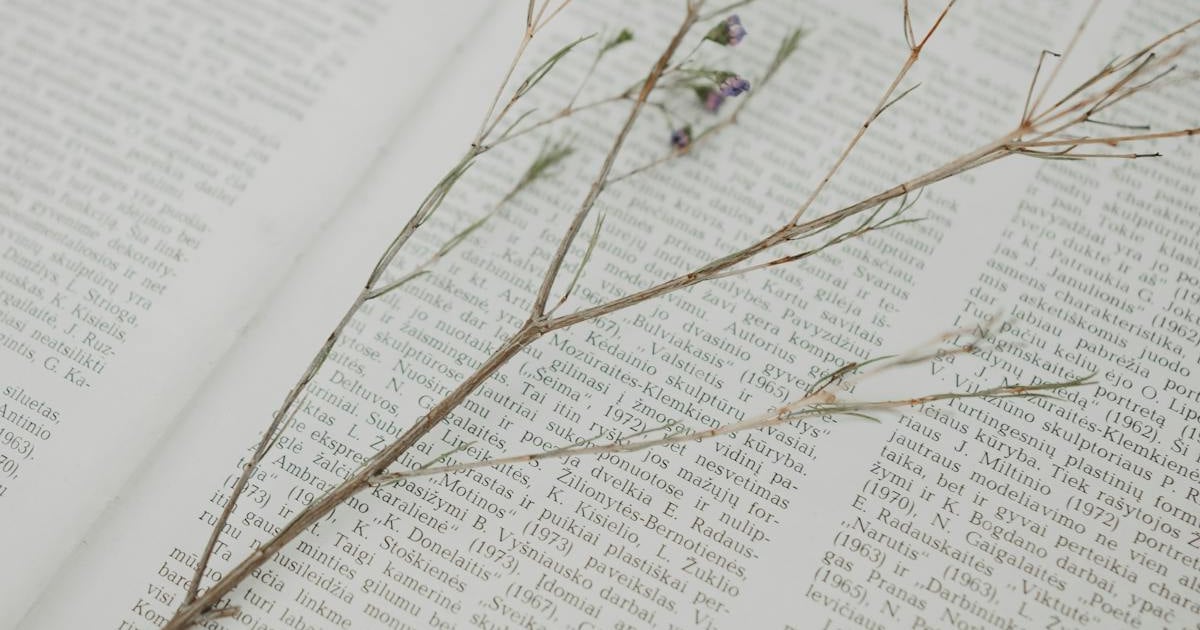 Does Uninsured Motorist Cover Hit and Run?